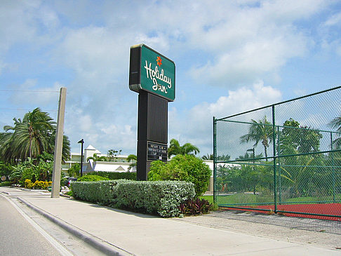 Fotos Palmen am Straßenrand