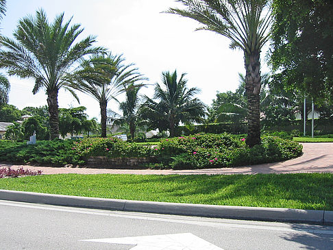 Fotos Straßenrand auf Marco Island | Marco Island