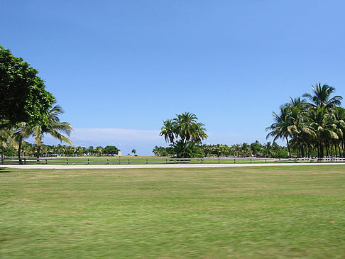 Foto Am Straßenrand - Miami