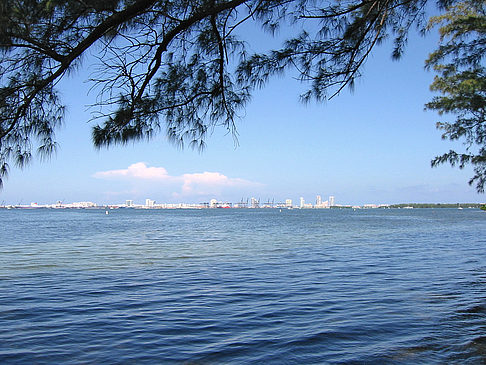 Blick vom Wasser auf Miami Foto 
