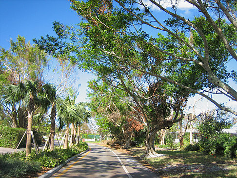 Straße Foto 