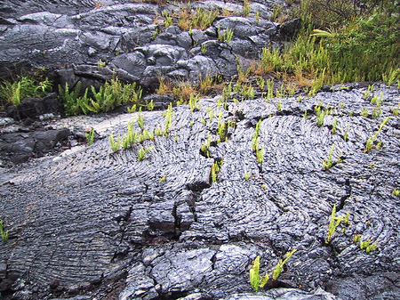 Fotos Erstarrte Lava
