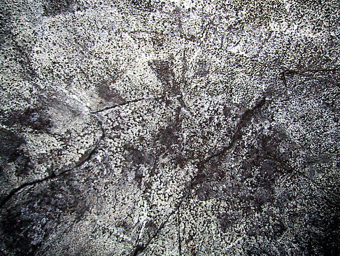 Foto Felsen