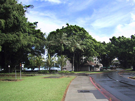 Foto Hawaiis Straßenränder