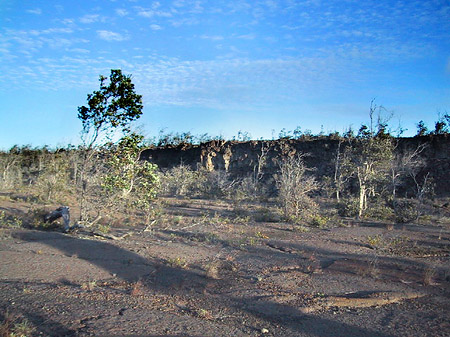 Hawaiis Straßenränder Foto 