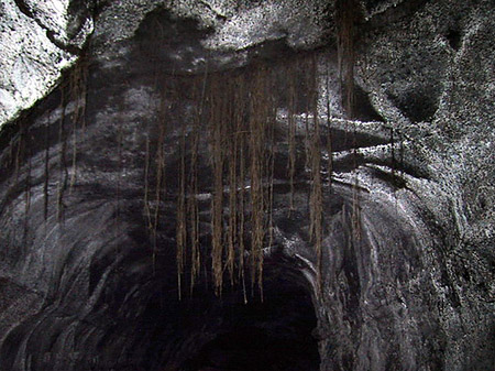 Höhlen in Hawaiis Wäldern