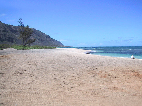 Die Strände von Oahou