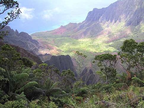 Fotos Waimea Canyon | 