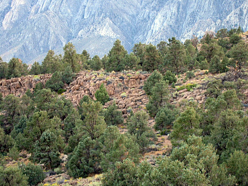 Fotos Mono Lake - Bishop